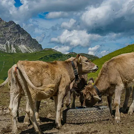 Lägenhet Haus Wallis By Stayfritz - Ski-in Ski-out Am Arlberg Warth (Vorarlberg)